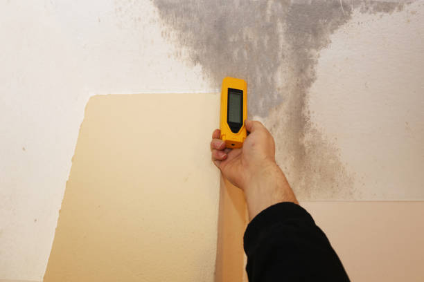 Best Commercial Mold Inspection  in Gregory, TX