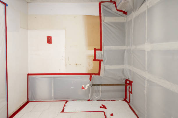 Trusted Gregory, TX Mold Removal Experts