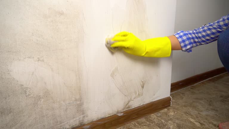 Best HVAC Mold Inspection and Cleaning  in Gregory, TX