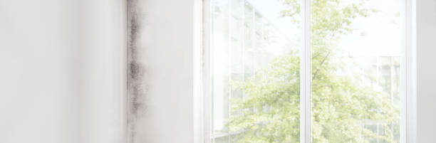 Best Indoor Air Quality Assessment  in Gregory, TX